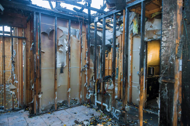 Professional Fire Damage Assessment technician working in Lake Havasu City, AZ